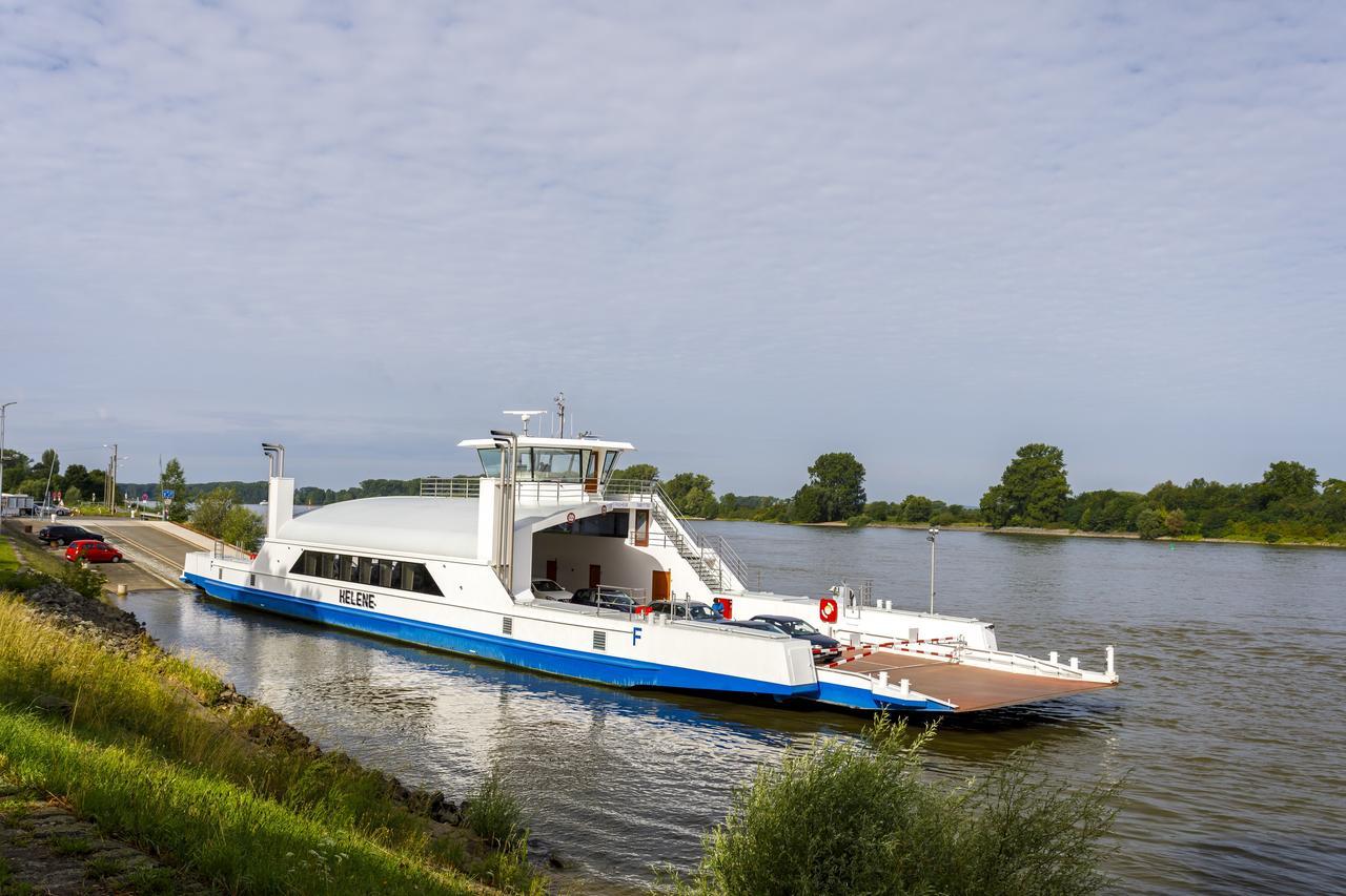 Hotel Rheingold Gernsheim Kültér fotó